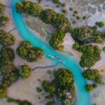 عکس هوایی جنگل‌های حرا بندر دیر بوشهر در خلیج فارس – عکاس: ابراهیم قاسمی (@ebreimoo)