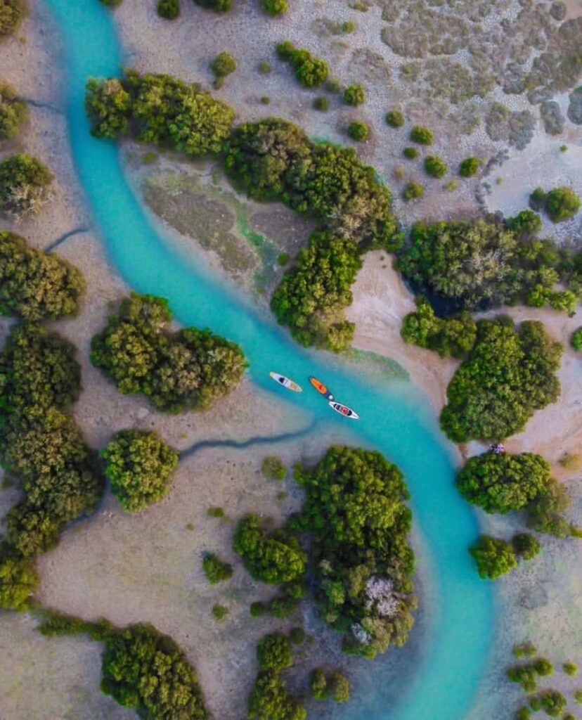 عکس هوایی جنگل‌های حرا بندر دیر بوشهر در خلیج فارس – عکاس: ابراهیم قاسمی (@ebreimoo)