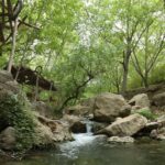 دشتک، روستای ماسوله، سرسبز و توریستی اطراف شیراز