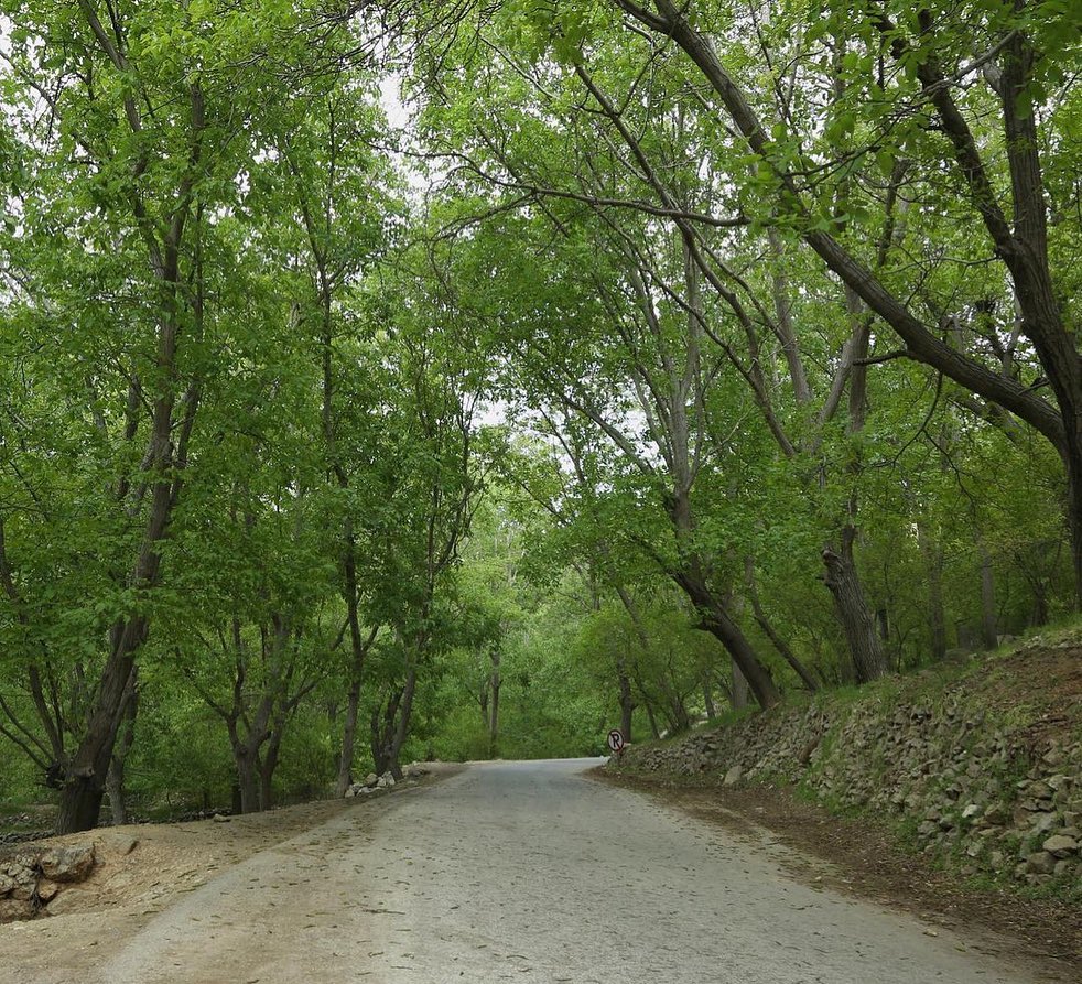 دشتک، روستای ماسوله، سرسبز و توریستی اطراف شیراز