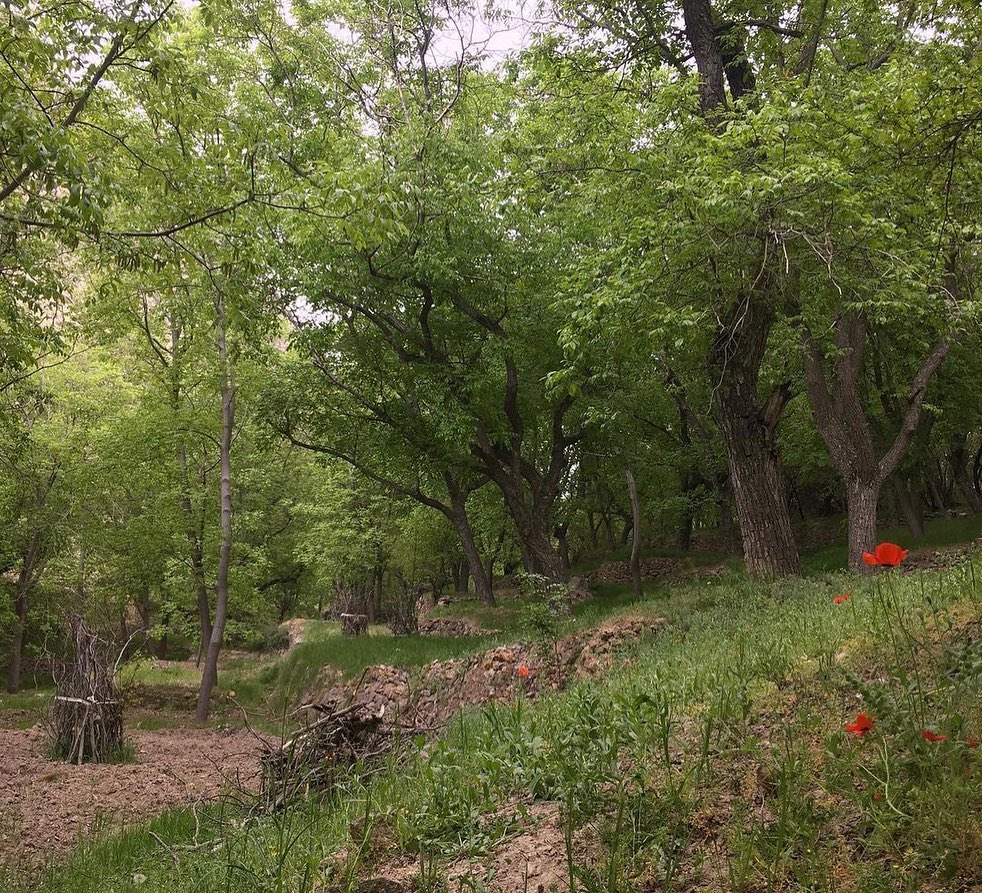 دشتک، روستای ماسوله، سرسبز و توریستی اطراف شیراز