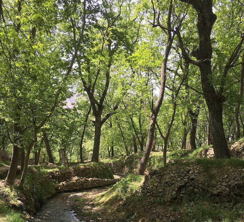 دشتک، روستای ماسوله، سرسبز و توریستی اطراف شیراز