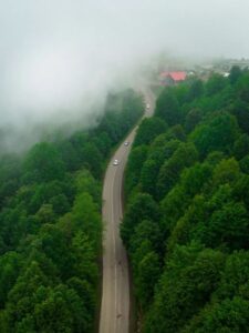 عکس جاده سرسبز سیاهکل به دیلمان در دل جنگل‌های گیلان