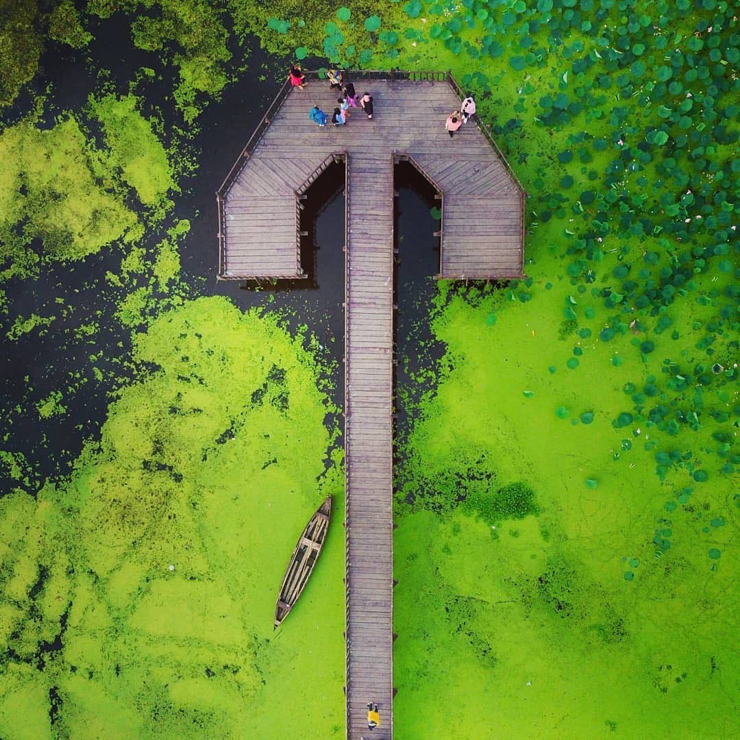 مرداب چشمگیر روستای آبکنار در نزدیکی بندر انزلی