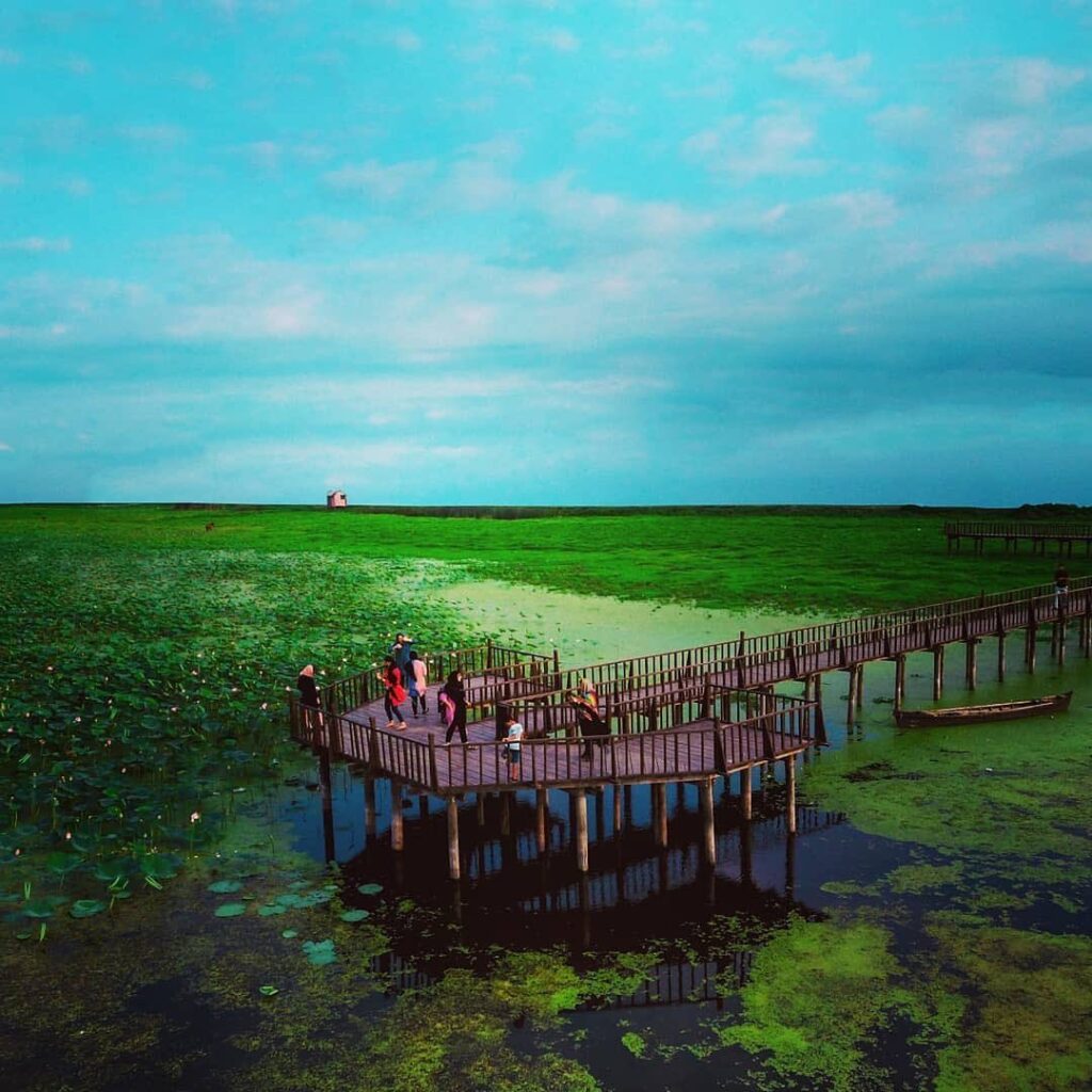 مرداب چشمگیر روستای آبکنار در نزدیکی بندر انزلی