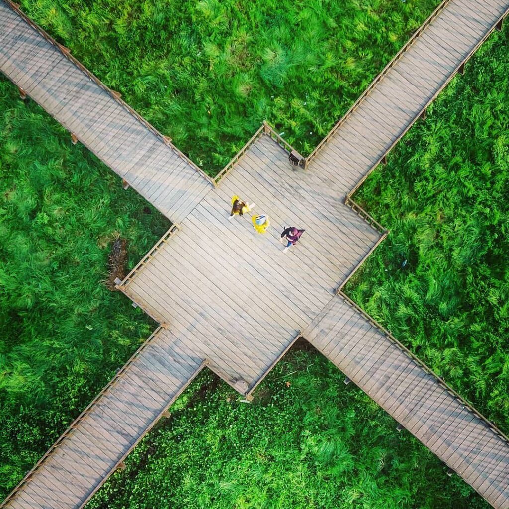 مرداب چشمگیر روستای آبکنار در نزدیکی بندر انزلی