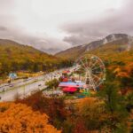 جاده جنگل گلستان در پاییز