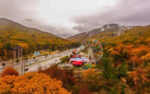 جاده جنگل گلستان در پاییز