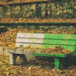 نیمکت پاییزی در جنگل‌های هیرکانی