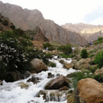 چشمه جوشک شیراز با آب زلال و طبیعت سبز اطراف