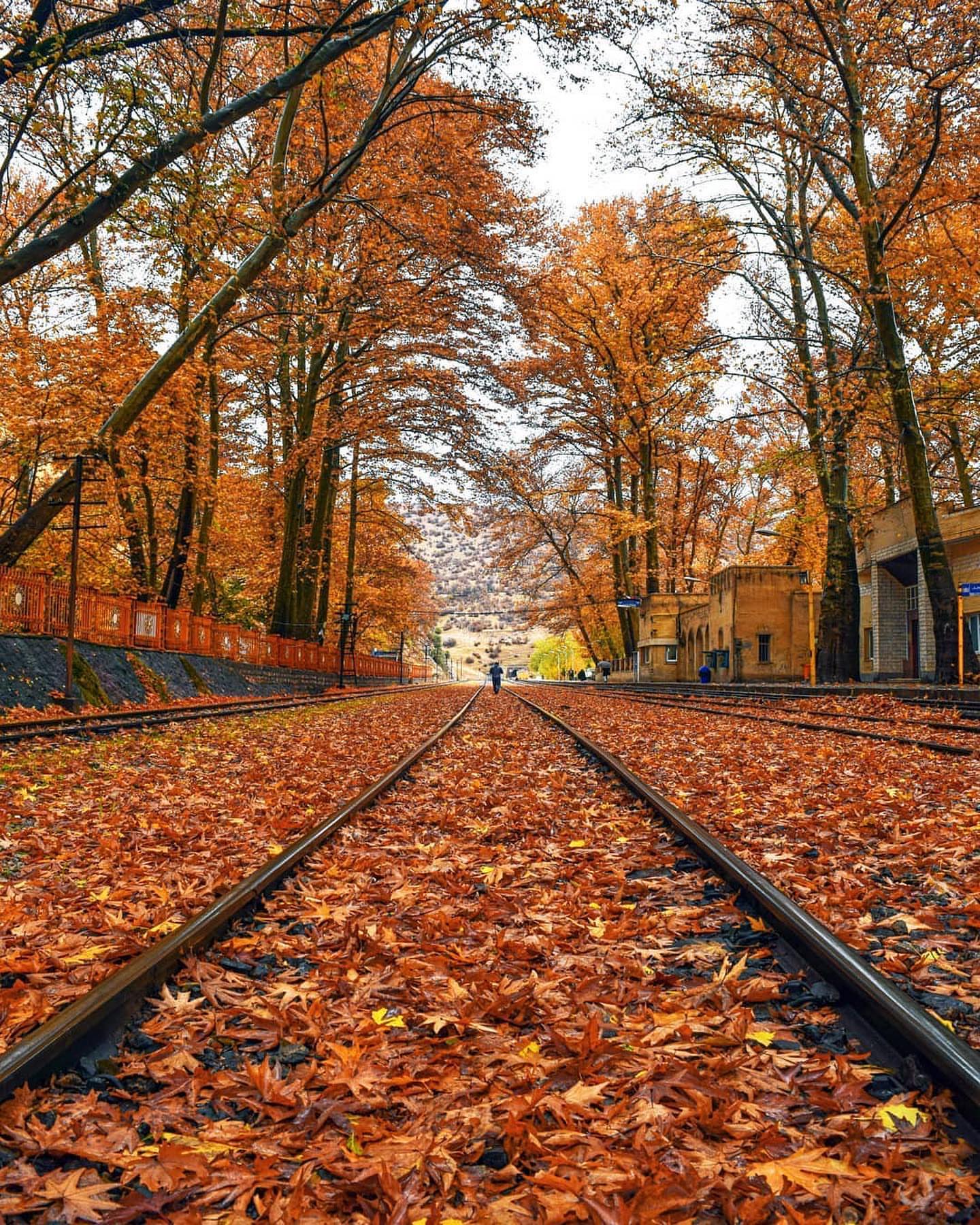 برگ های طلایی و سبز رنگ در آخرین روز پاییز ایستگاه قطار راه‌آهن بیشه