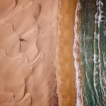 تصویر هوایی تک درخت نخل ساحل درک چابهار در محل تلاقی کویر و دریا