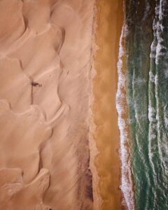 تصویر هوایی تک درخت نخل ساحل درک چابهار در محل تلاقی کویر و دریا