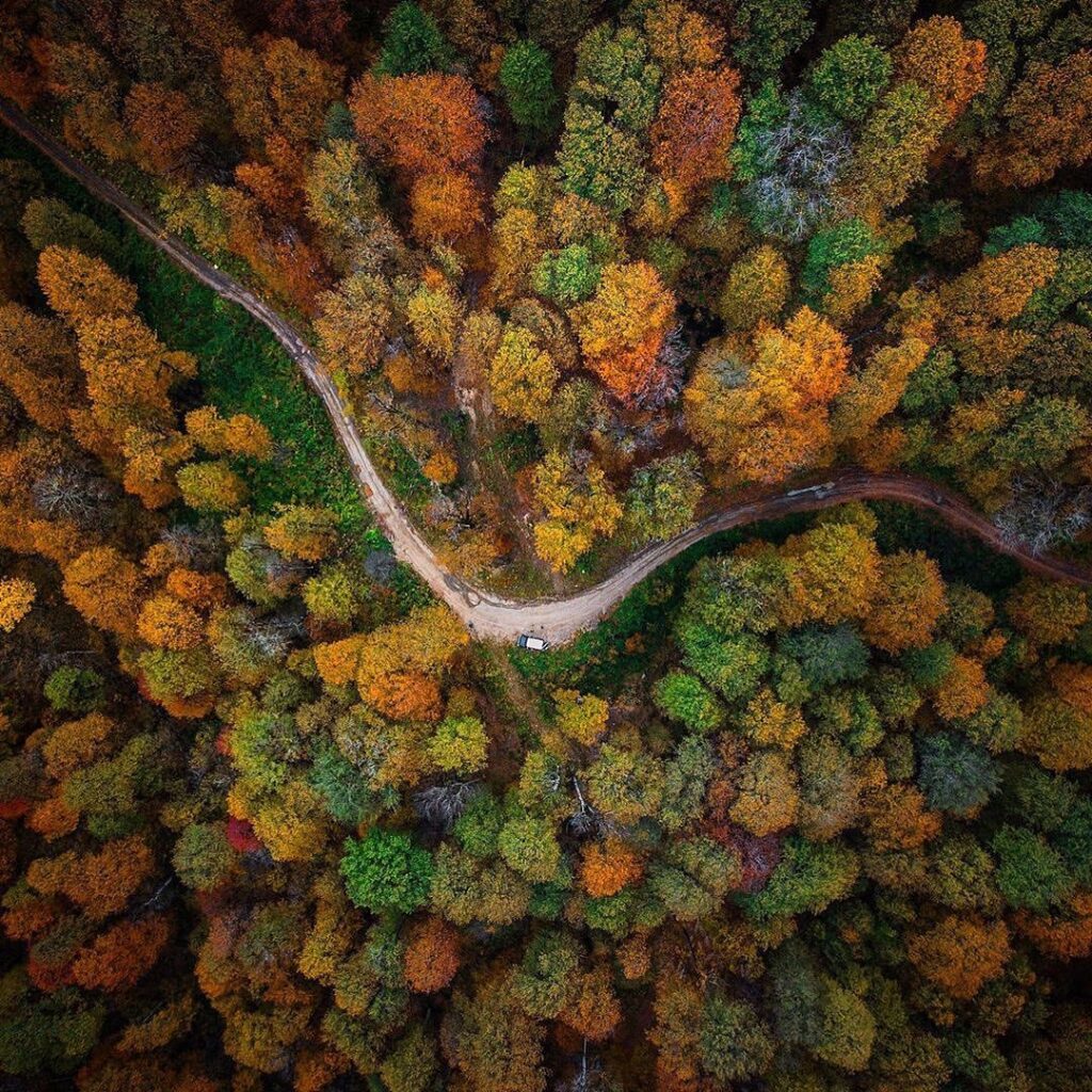 عکس هوایی از جاده پاییزی جنگل‌ مازندران ایران