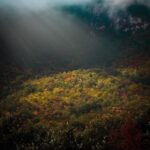 عکس پاییزی جنگل مازندران در شمال ایران