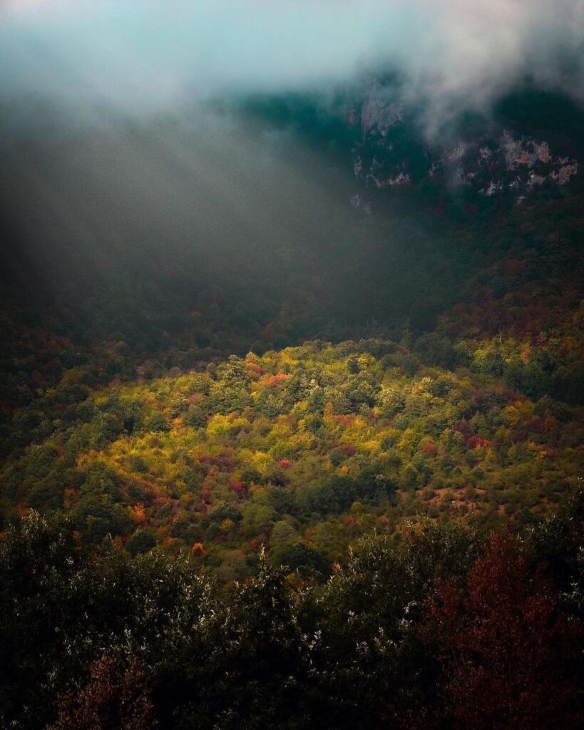 عکس پاییزی جنگل مازندران در شمال ایران