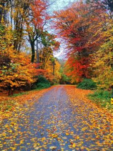 جاده پاییزی سیاهکل گیلان در شمال ایران