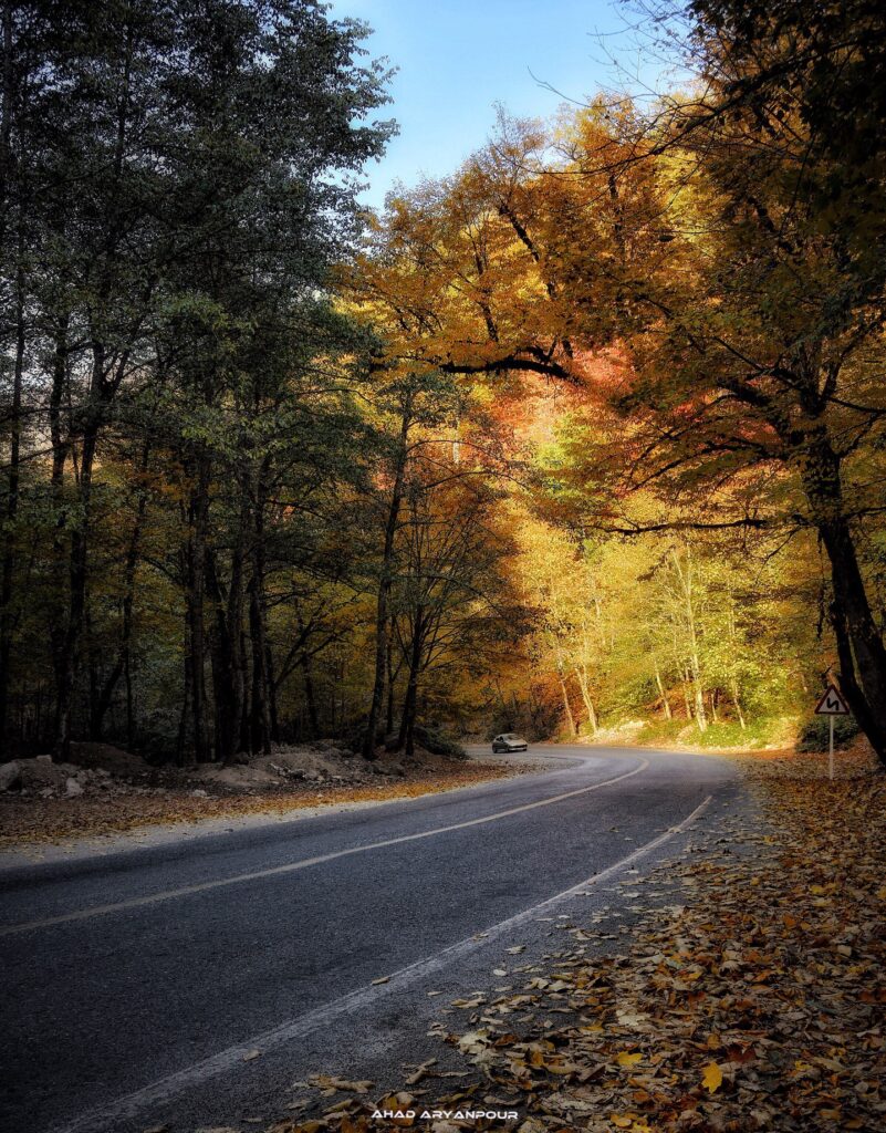 جنگل توسکستان گرگان در پاییز