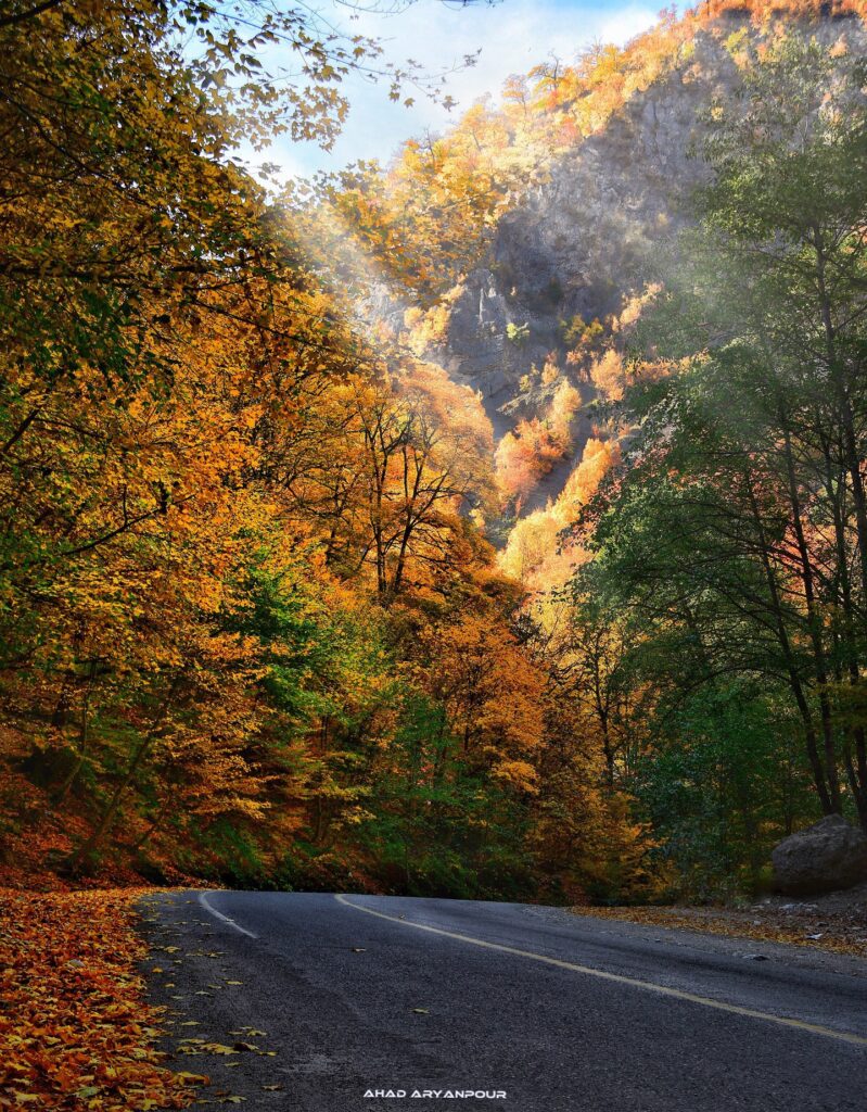 جنگل توسکستان گرگان در پاییز