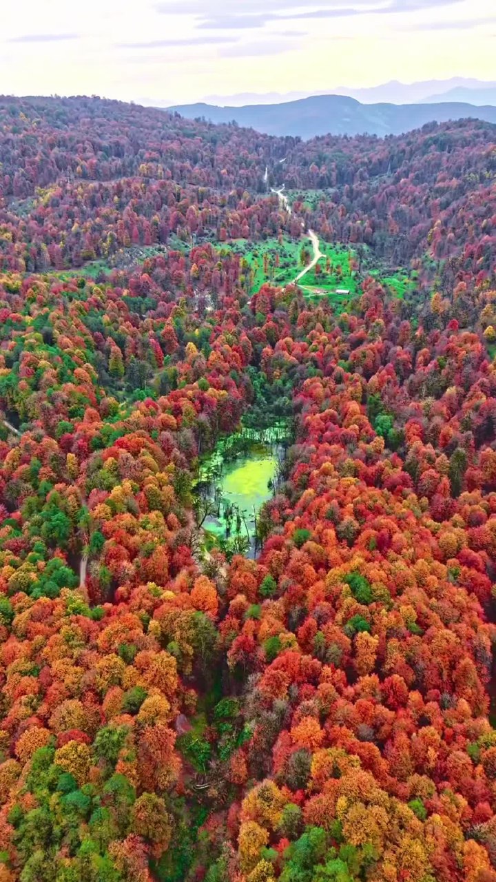 مرداب دریوک کلاردشت در پاییز