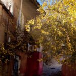کوچه باغ های پاییز بوژان نیشابور