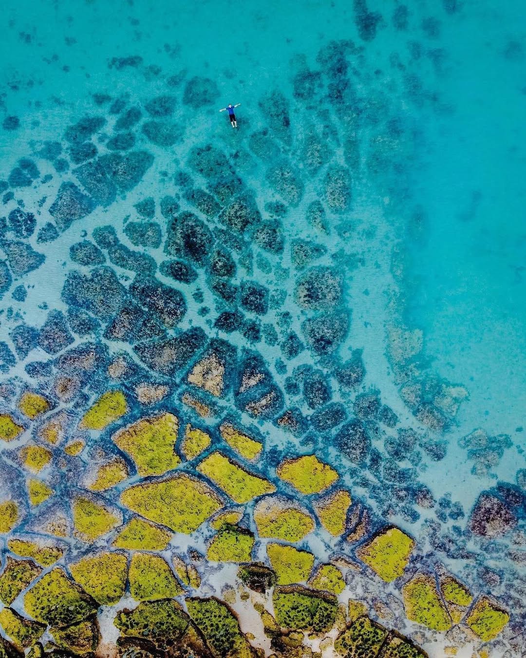 ساحل بکر بوشهر