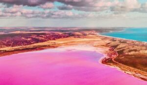 تالاب صورتی لیپار چابهار