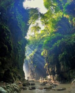 تنگه دار نوشهر