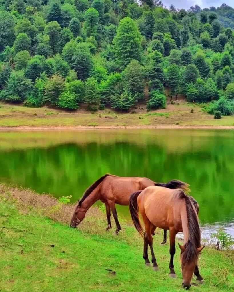 دریاچه سرآگاه گیلان