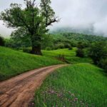 طبیعت زیبای رودبار گیلان