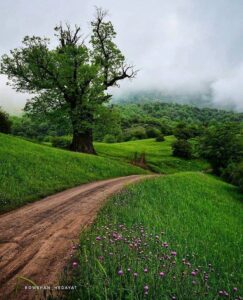 طبیعت زیبای رودبار گیلان