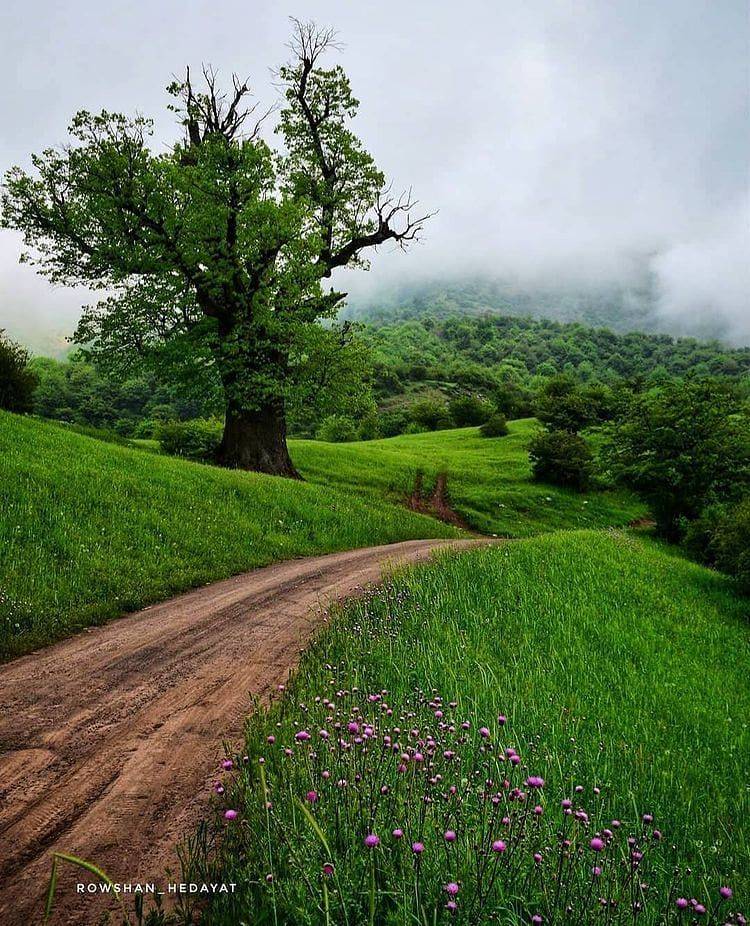 طبیعت زیبای رودبار گیلان