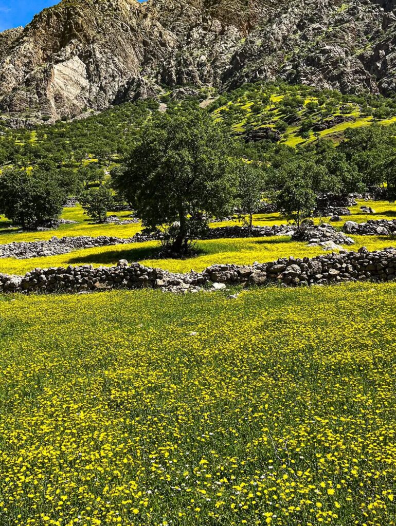 طبیعت کوه های زاگرس در بهار 1405