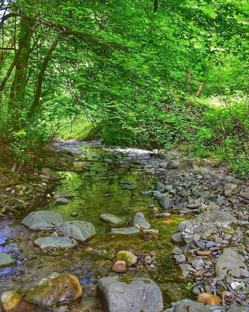 پارک جنگلی النگدره ، گرگان