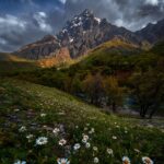کوه رِئِل بیشه تی لرستان