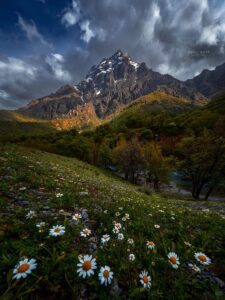 کوه رِئِل بیشه تی لرستان