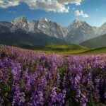 کوه و قله اشترانکوه با ارتفاع ۴۰۸۶ متر